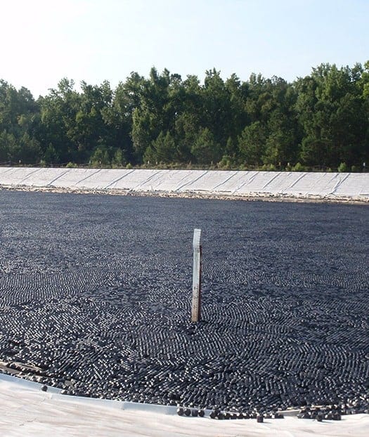 Solar panel array for sustainable energy production and environmental benefits.